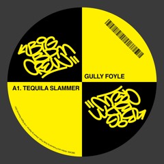Gully Foyle - Tequila Slammer