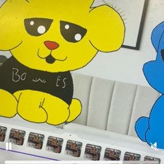 adelaide - wifiskeleton cover