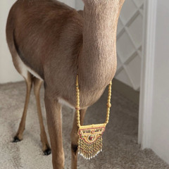 غزال - عيضة x حمد العامري (بطيء)