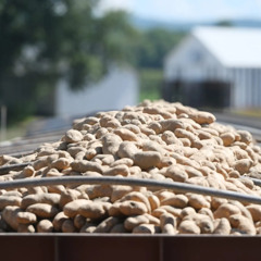 Pioneer Valley Spuds