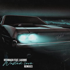 Wasted Love (feat. Lagique) [James Hype Remix]