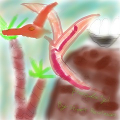 You Were Always Looking The Wrong Way