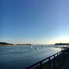 Felicity (phone recording)