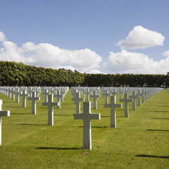 Don't Get Excited (Covered)