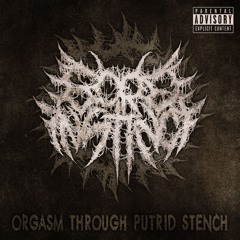Putrefying Innards (Intro)