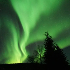 Review Special Price Northern Lights Viewing At Murphy Dome