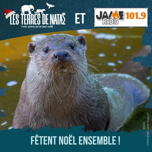 Stream jaime.radio | Listen to Les Terres de Nataé et JAIME Radio fêtent  Noël ensemble ! playlist online for free on SoundCloud