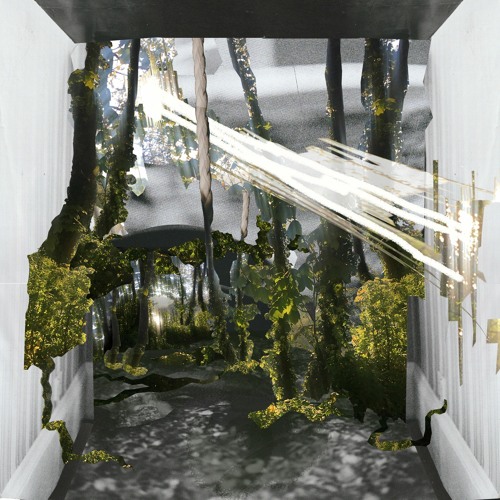 Premiere: Enchanted Rizla (x-o1 Remix)