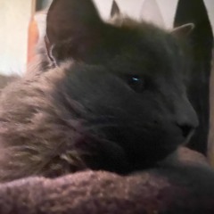 we were up until 11 am