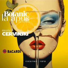Cervinski Live @ Botanic La Apus / 15 August 2024