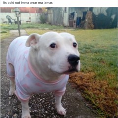 nitwit ft. Justin Timberlake & Jay-Z