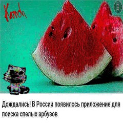 arbuzcore 303-350bpm