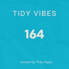 Tidy Vibes 164