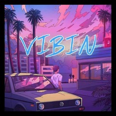 VIBIN