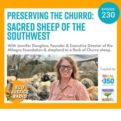Preserving the Churro: Sacred Sheep of the Southwest
