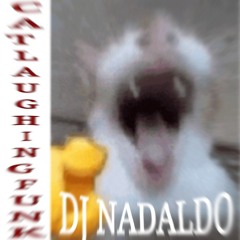 CAT LAUGHING FUNK V1