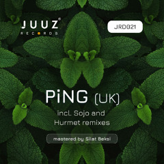 PiNG (UK) - 8th Crusade (Original Mix)