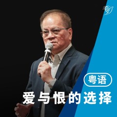 爱与恨的选择（粤语）08/12/2024