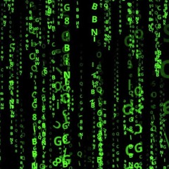 Matrix