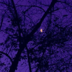 where have you been ?