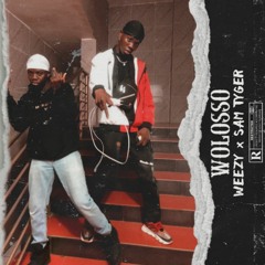 Sam tyger × wizzy