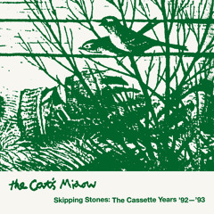 Nothing New (original cassette version)