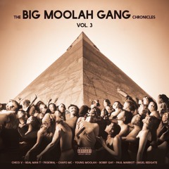 You ain’t ready for the bass! - Big Moolah Gang