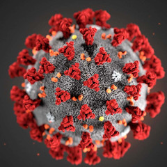 COVID-19  (beat Prod. by NJ2tymes)