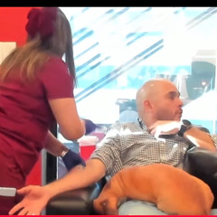 LHdD 20 marzo 2026 Exámenes de sangre de LHT - Noticia del fallecimiento de Chuck Norris