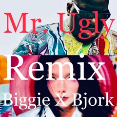 Mr. Ugly X Biggie X Bjork Remix