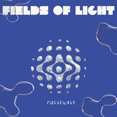 Fields of Light