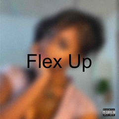 Flex Up! (Feat. iamjtt) (prod. meeee)