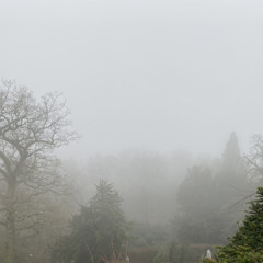 On Your Own - The Jins (slowed + lower pitch)