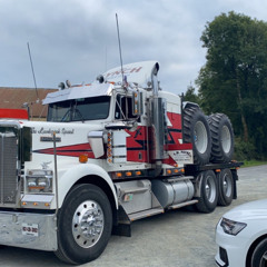 never gonna say goodbye