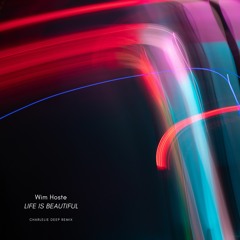 Life Is Beautiful Remix charlelie