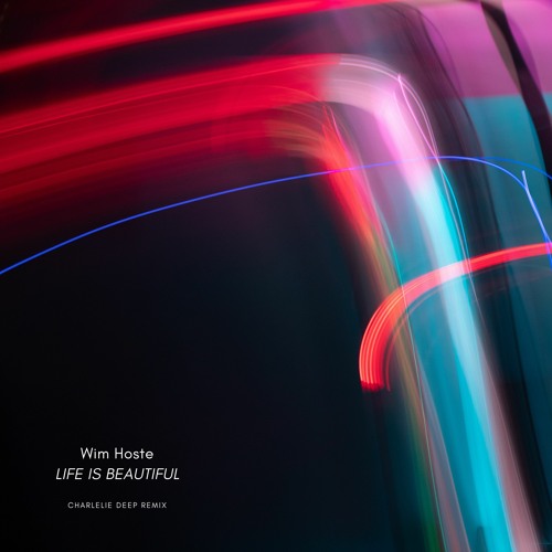 Life Is Beautiful Remix charlelie