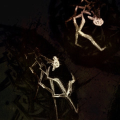 cashavist - margiela 2tone (ziran)