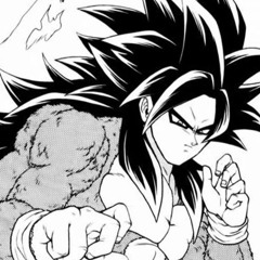 you aren't the first one to say that, but you might be the last. x GOD'S TIME (GOKU RAGE/VOCALS)