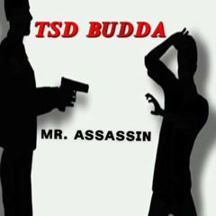 TSD Budda - Mr.Assassin