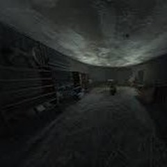 Super S.T.A.L.K.E.R.