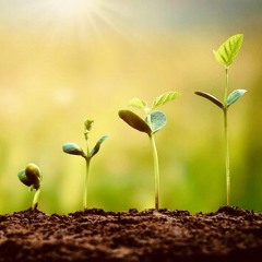 DCYP Sing Through the Years