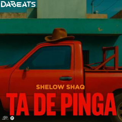 Shelow Shaq, DaBeats - Ta De Pinga (Intro & Outro)