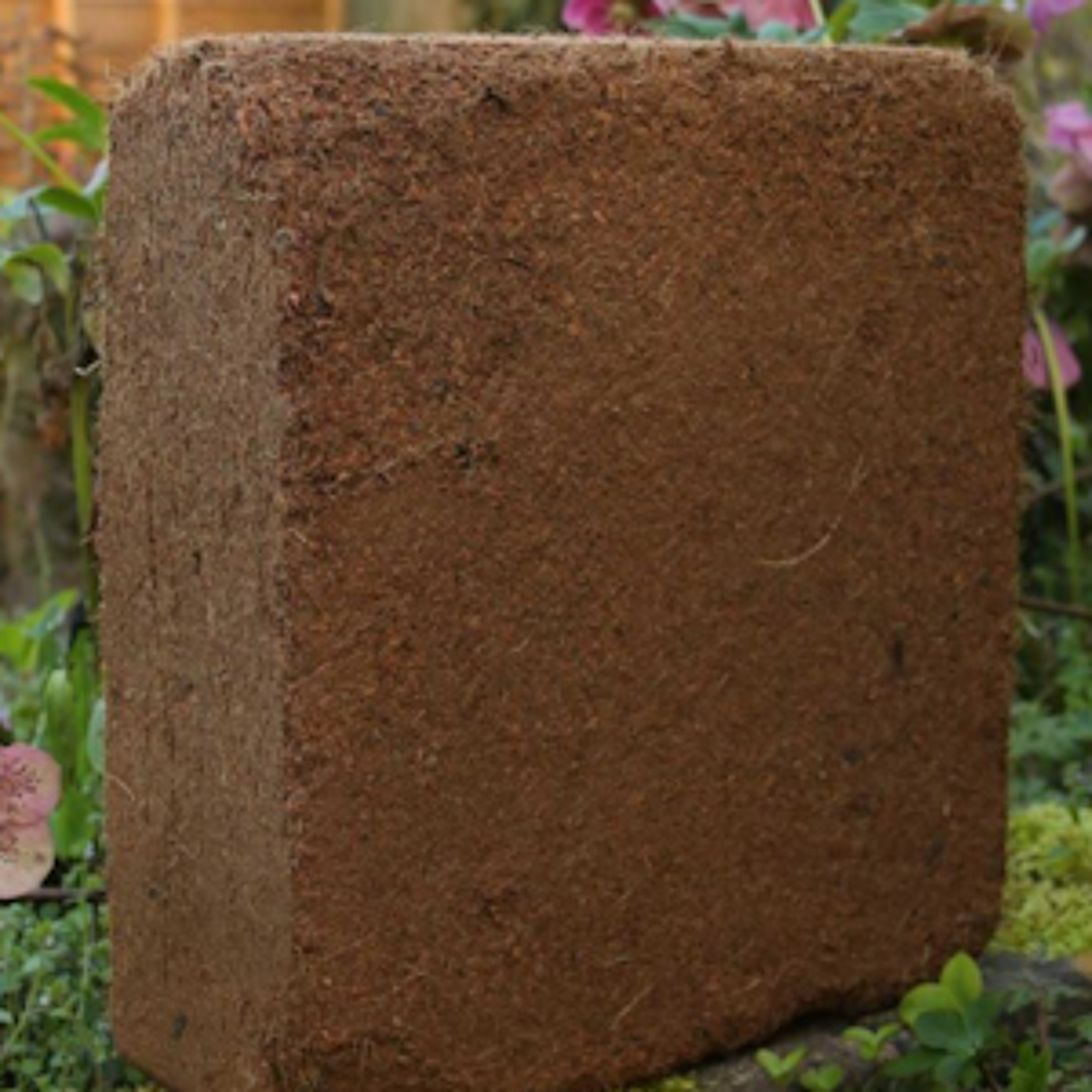 World Radio Gardening