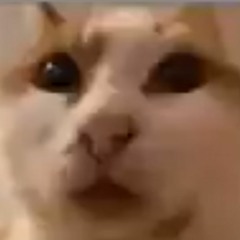 cats song living tombstone