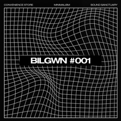 BILGWN | BLOK #001