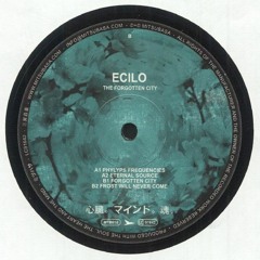 Ecilo - Forgotten City - Preview (B1 / Mitsubasa MTB016)