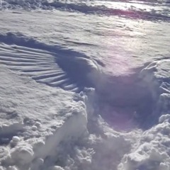 dogshxtebk - how does it feel prod nerfjayy