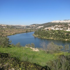 החיים שיש לך | מילים: יונה וולך, לחן ועיבוד: נדב ש. ברמן, שירה: מירב יהלום