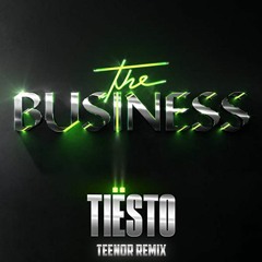 Tiesto - The Business (TEENOR Remix)