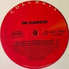 Ini Kamoze - Here Comes The Hotstepper (DJ LexX Radio Edit)